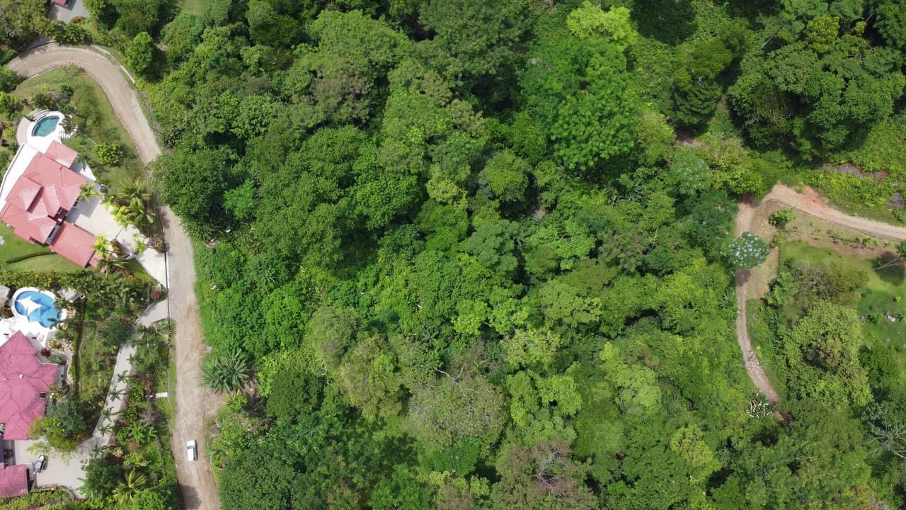 Ojochal - 1 Acre Ready To Build Jungle Lot, Ocean Breezes in Wildlife Corridore - photo 11