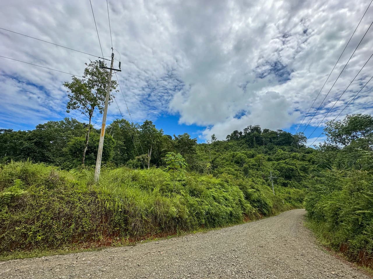 Costa Rican Gem with Conservation Potential: Preserve 26 Acres of Pristine Land - photo 6