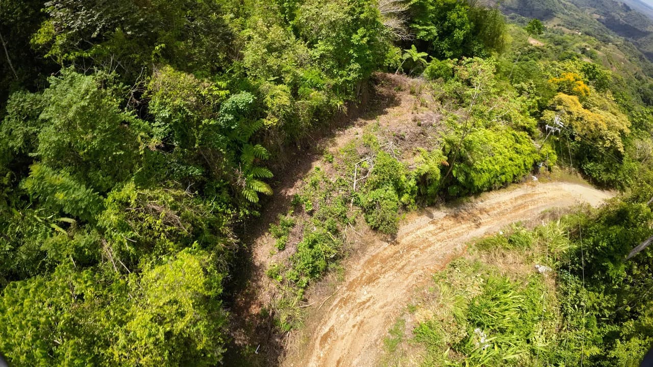 Ocean View Investment Opportunity - photo 12