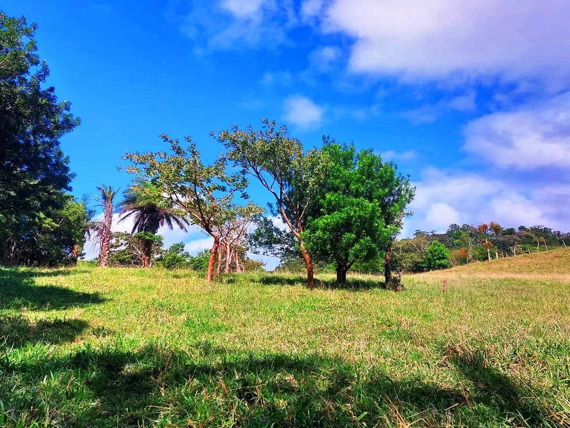 LA CABAÑA - 13+ ACRES & a TINY HOUSE & outstanding VIEWS - REDUCED PRICE - SELLER MOTIVATED - photo 18