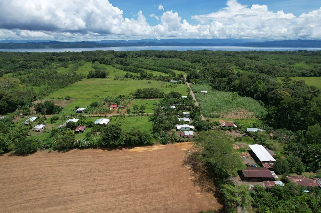 Finca La Palma, Puerto Jimenez: Excellent location ideal for development - photo 14