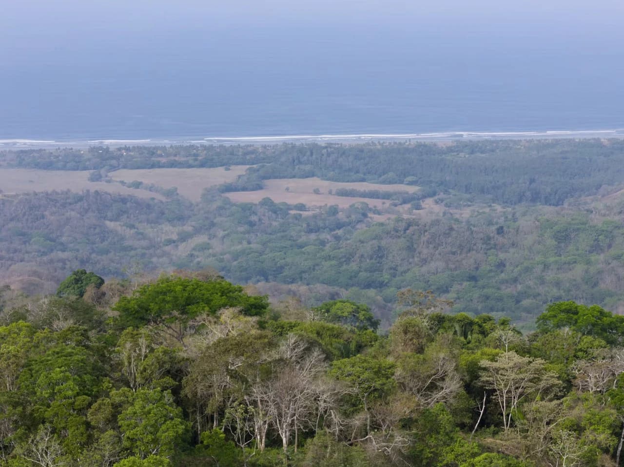 Ocean view farm for sale Costa Rica San Miguel Beach Costa de Oro - photo 13