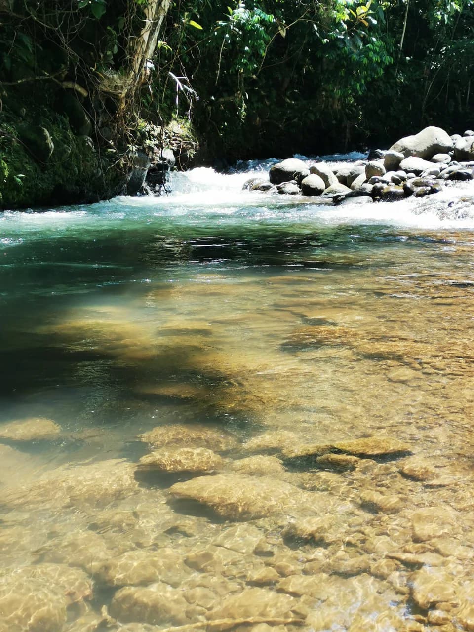 Costa Rica Tropical Home for Sale | Private River Access + Pool + 1,154 m² | Near La Fortuna - photo 18