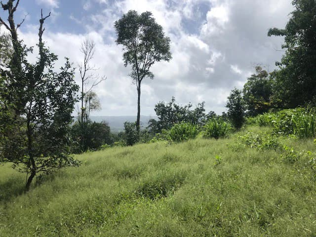 Hot and Cold Thermal Springs for Sale – Beautiful Property in Dos Ríos, Alajuela with Excellent Commercial Potential - photo 46