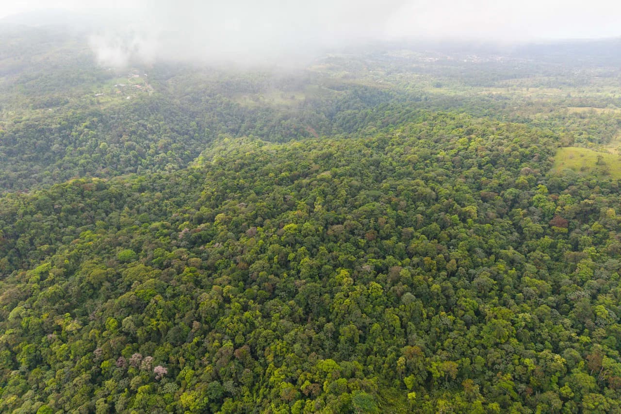 Finca Gran Bijagua: Breathtaking 10-Hectare Mountain Sanctuary in Bijagua, Costa Rica - photo 8