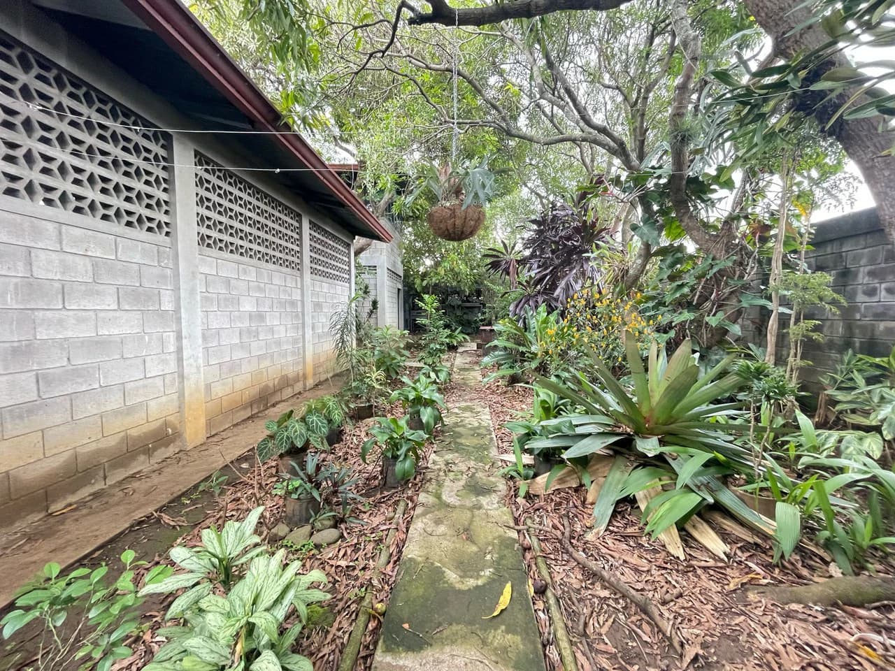 Warehouse and Mixed-Use Property for Sale in Desamparados: Warehouse For Sale in Desamparados - photo 8