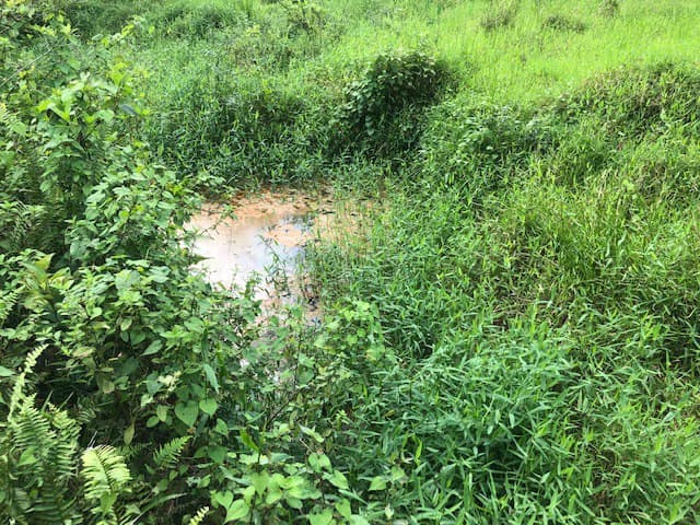 Hot and Cold Thermal Springs for Sale – Beautiful Property in Dos Ríos, Alajuela with Excellent Commercial Potential - photo 39