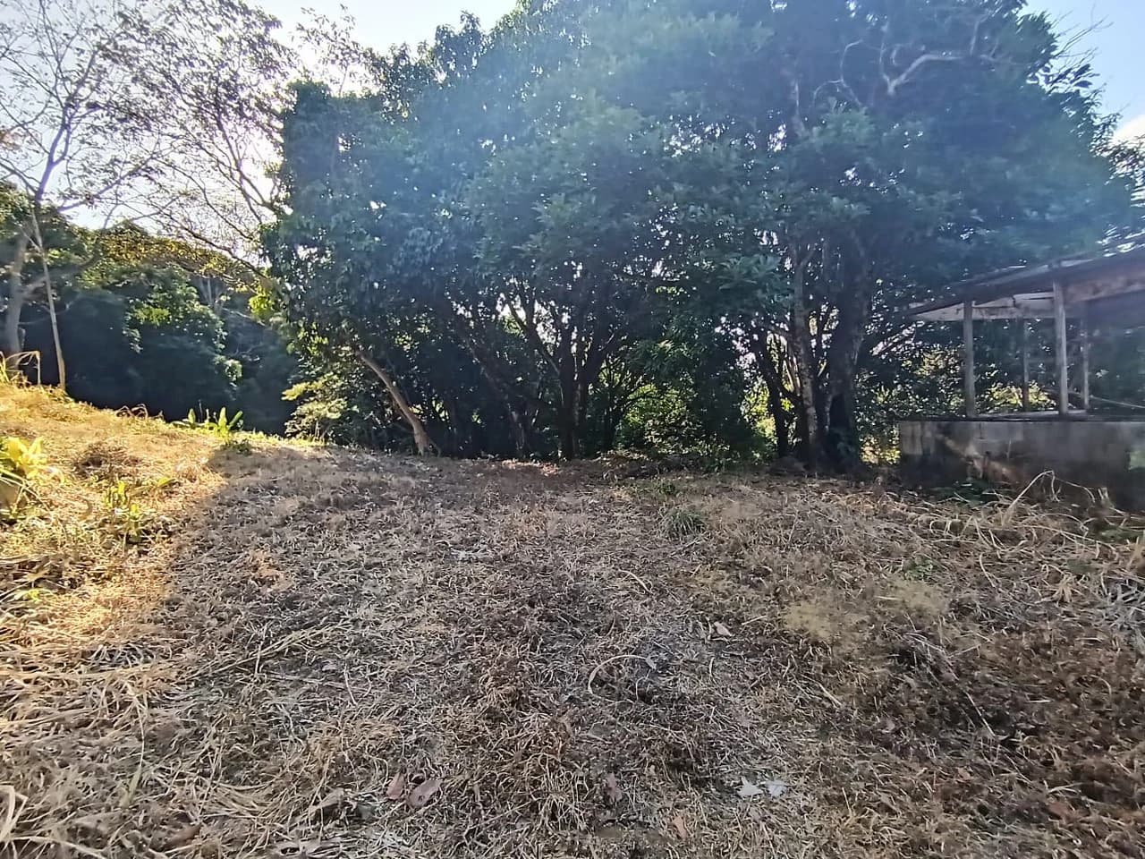 Property for sale in Ciudad Colon San José Costa Rica - photo 3