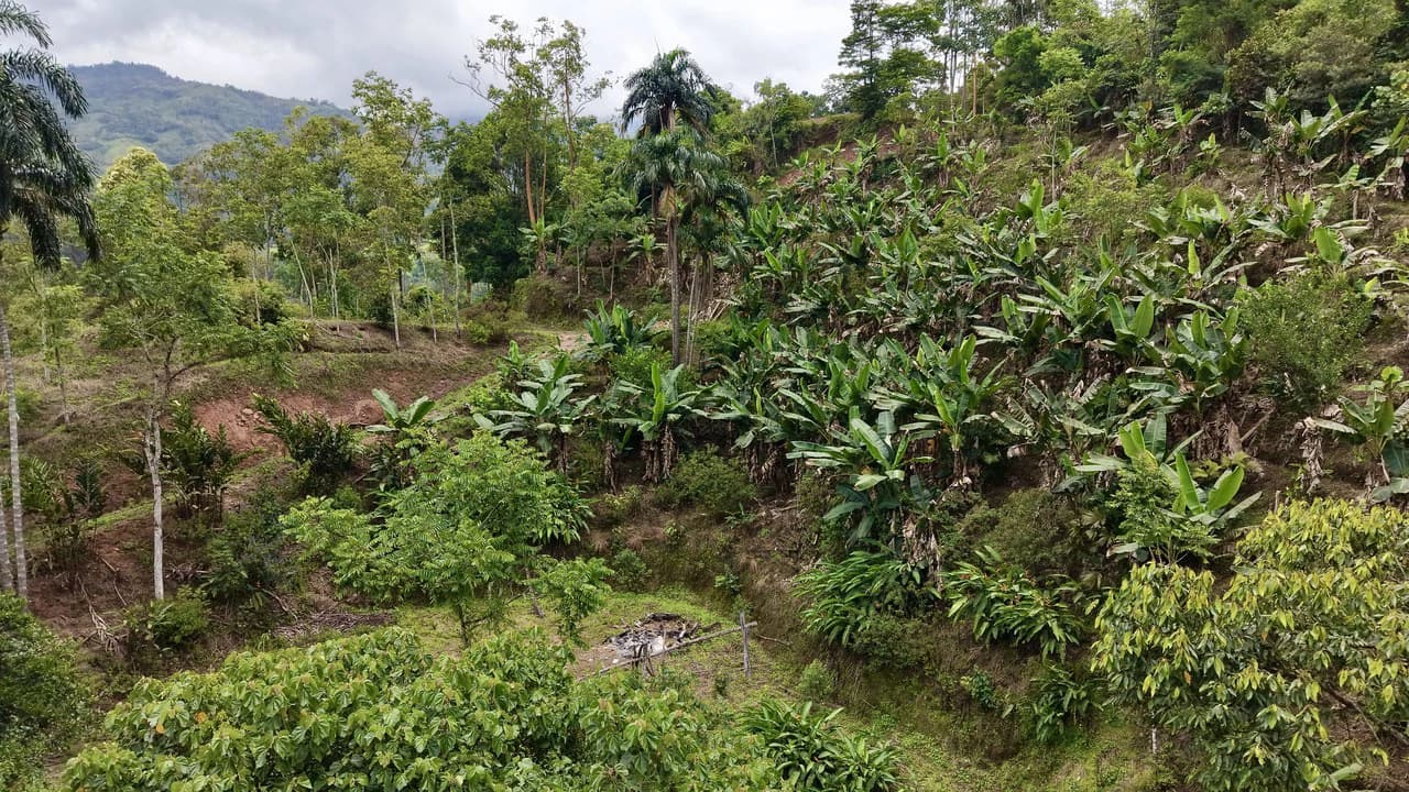 Countryside Home Construction Site For Sale in San Isidro del General - photo 5