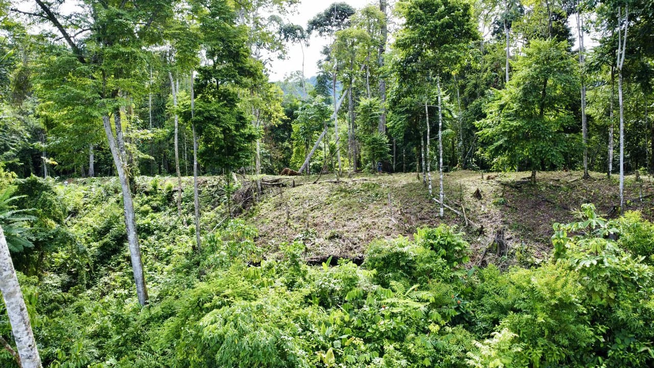 Marvelous Ocean View Parcel in Uvita. - photo 10