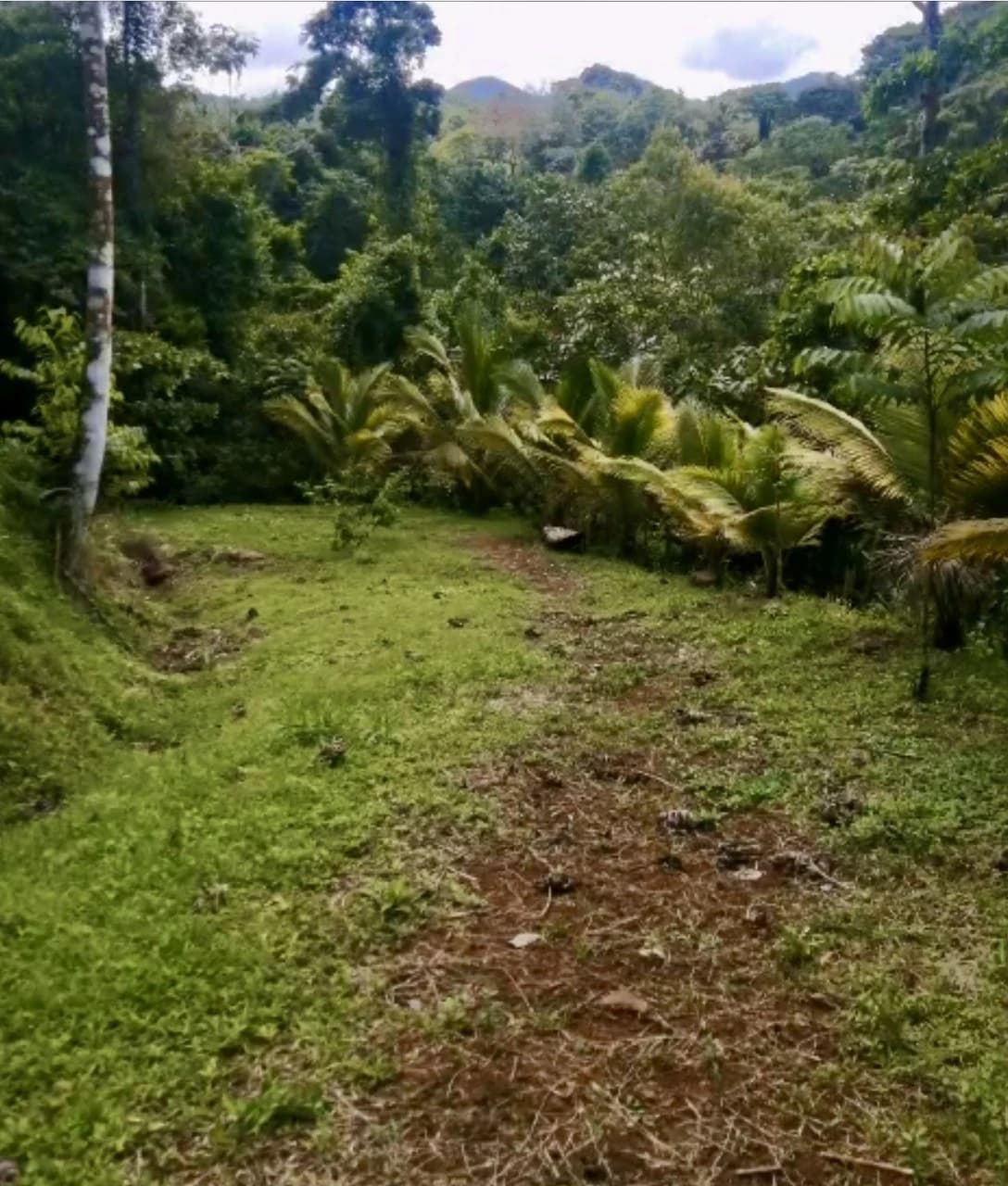 4.82 Acres Near La Fortuna, Costa Rica | Home + River + Vacation Rental Potential - photo 2