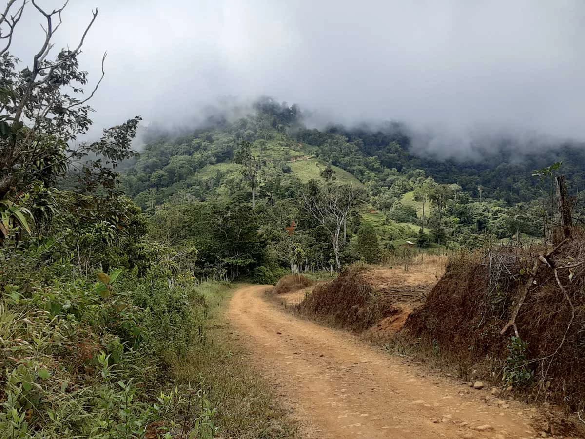 Finca Tesoro Escondido - The Jewel of Uvita - photo 36
