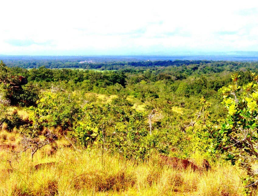 Colorado River Paradise Farm for Sale - Just 10 Minutes from Liberia - photo 13