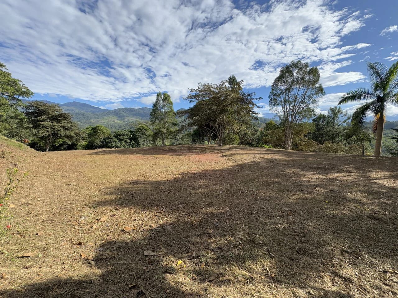 Stunning 2.4 Acre Property in Quebradas San Isidro del General - photo 22
