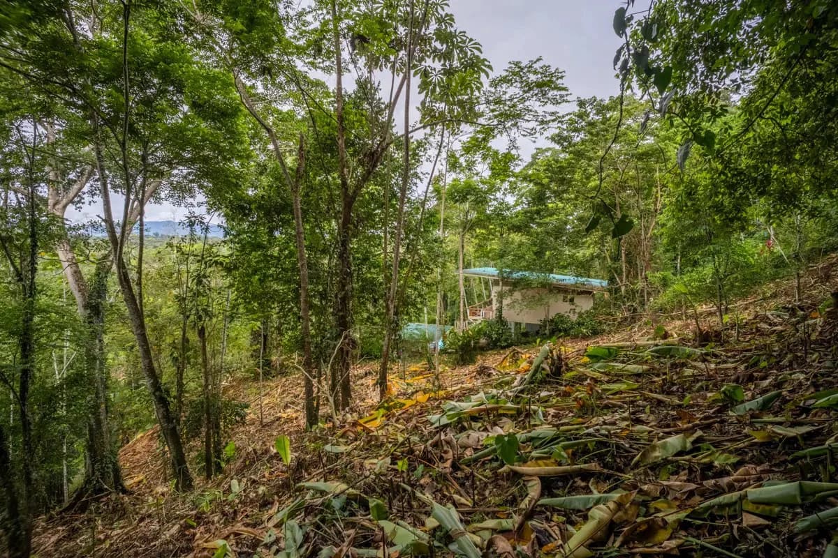 ID 1084: 5,500 sqm Lot with Mountain View in Iriria 1, Punta Uva - photo 8