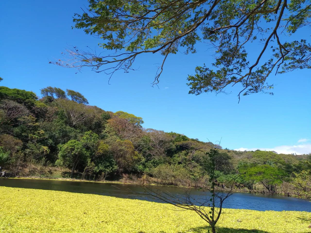 Finca Los Angeles: JUST REDUCED ! 281 Acre Farm with River, Lake, and Sunset views - photo 2