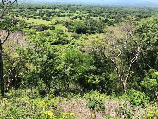 Amazing 50% discount for Huge ocean-view farm for sale surrounded by soft rolling hills and pristine nature - photo 13