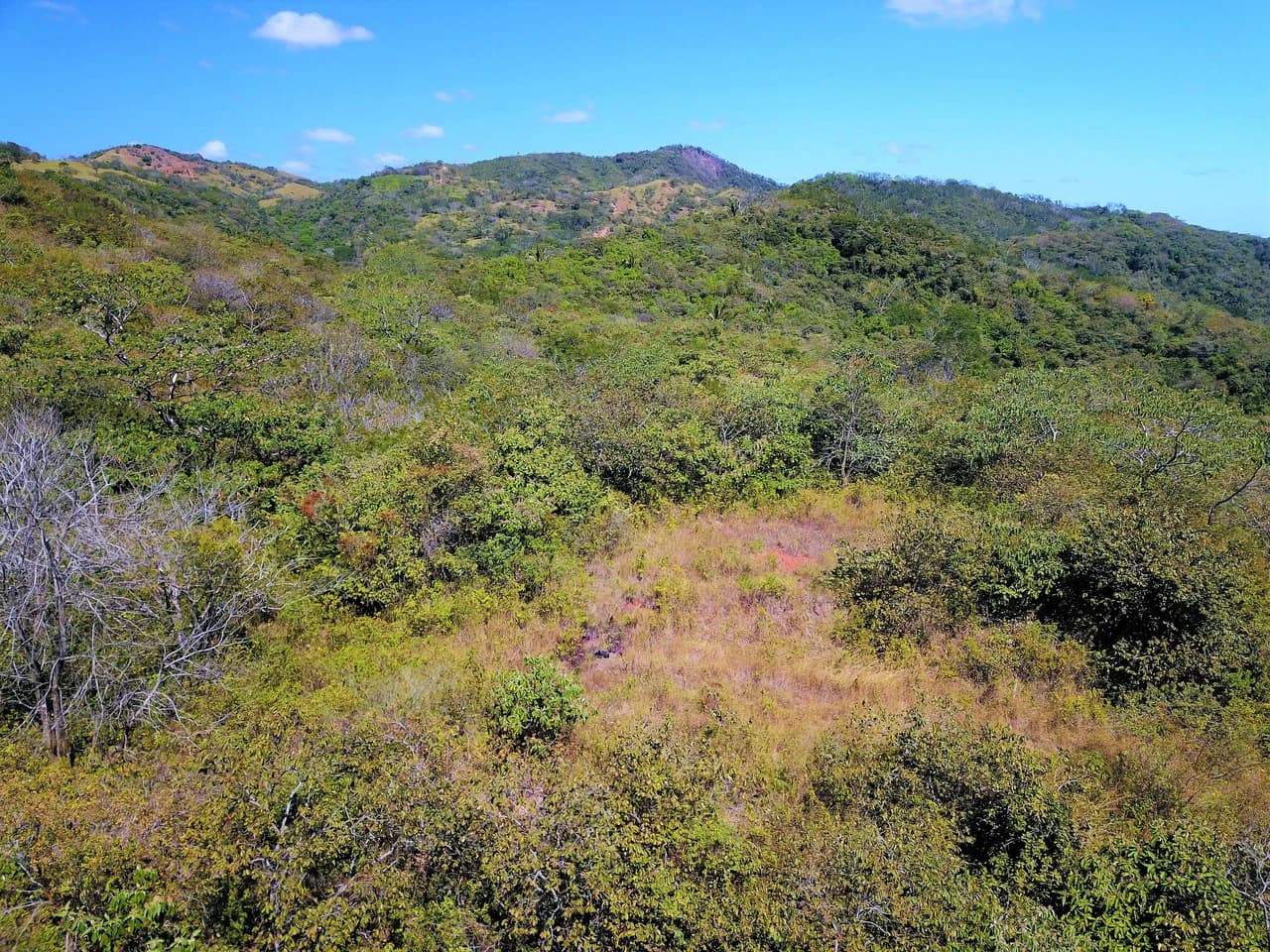 Puesta del Sol: Ocean View Lot - photo 7