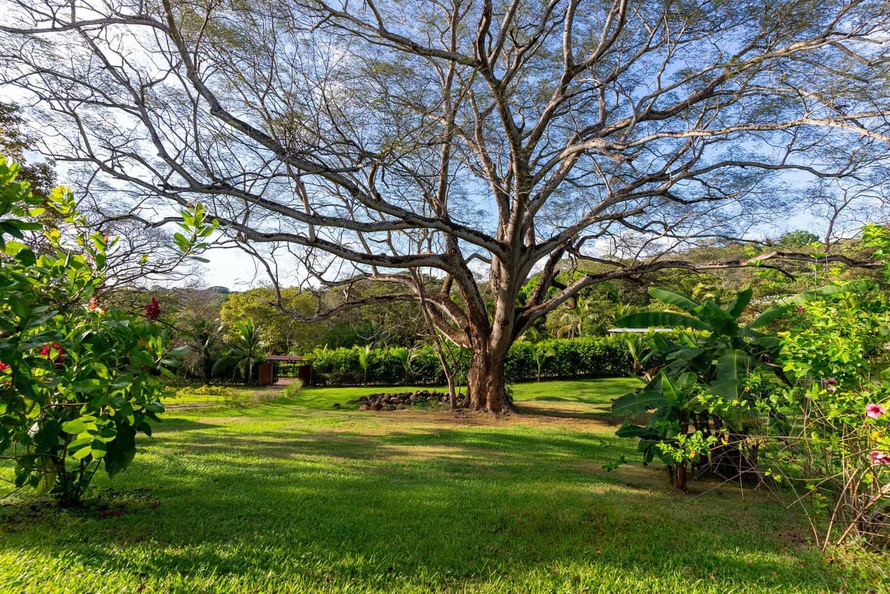 Property for Sale in Orotina, Costa Rica: Nature and Privacy - photo 31