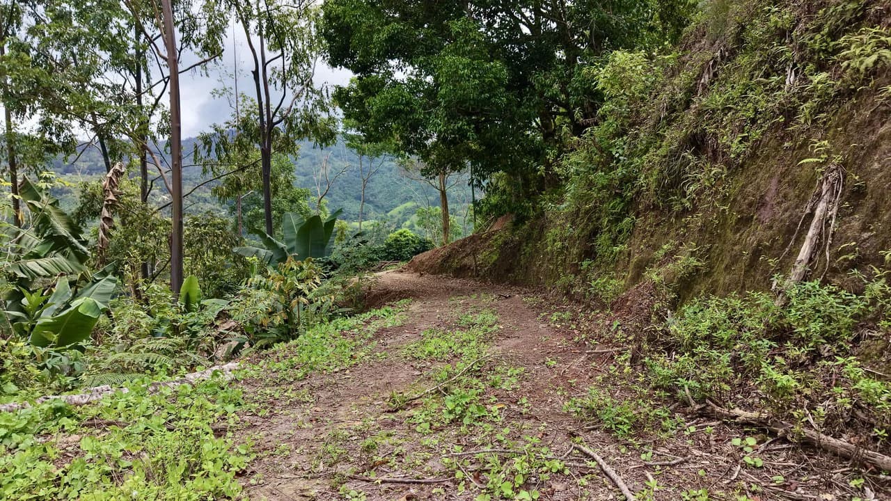 Countryside Home Construction Site For Sale in San Isidro del General - photo 3