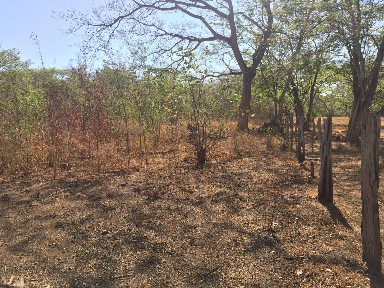 Large property, close to Playas del Coco