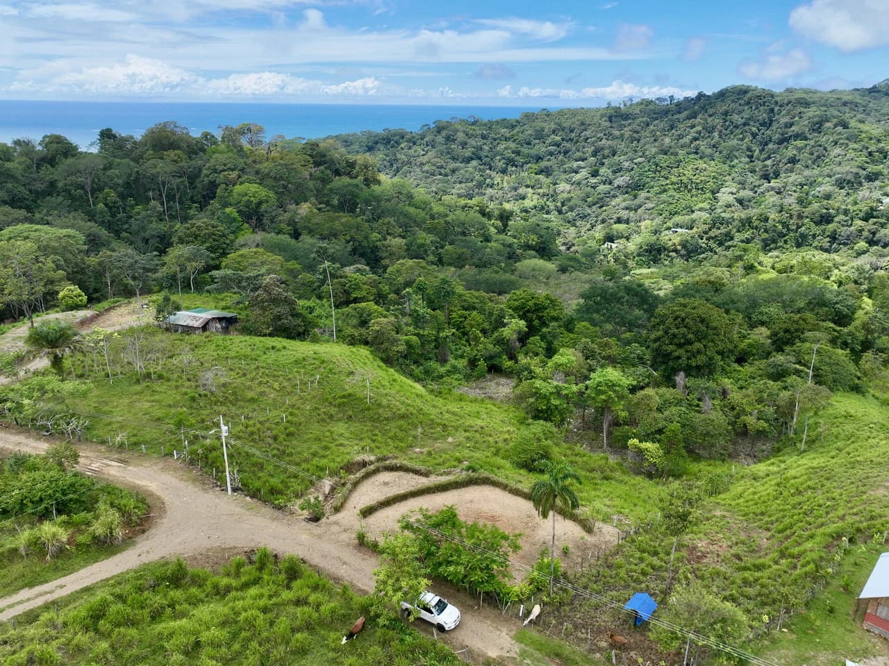 Spring and Waterfall! 3,2 Acres lot in Uvita Mountains - photo 5