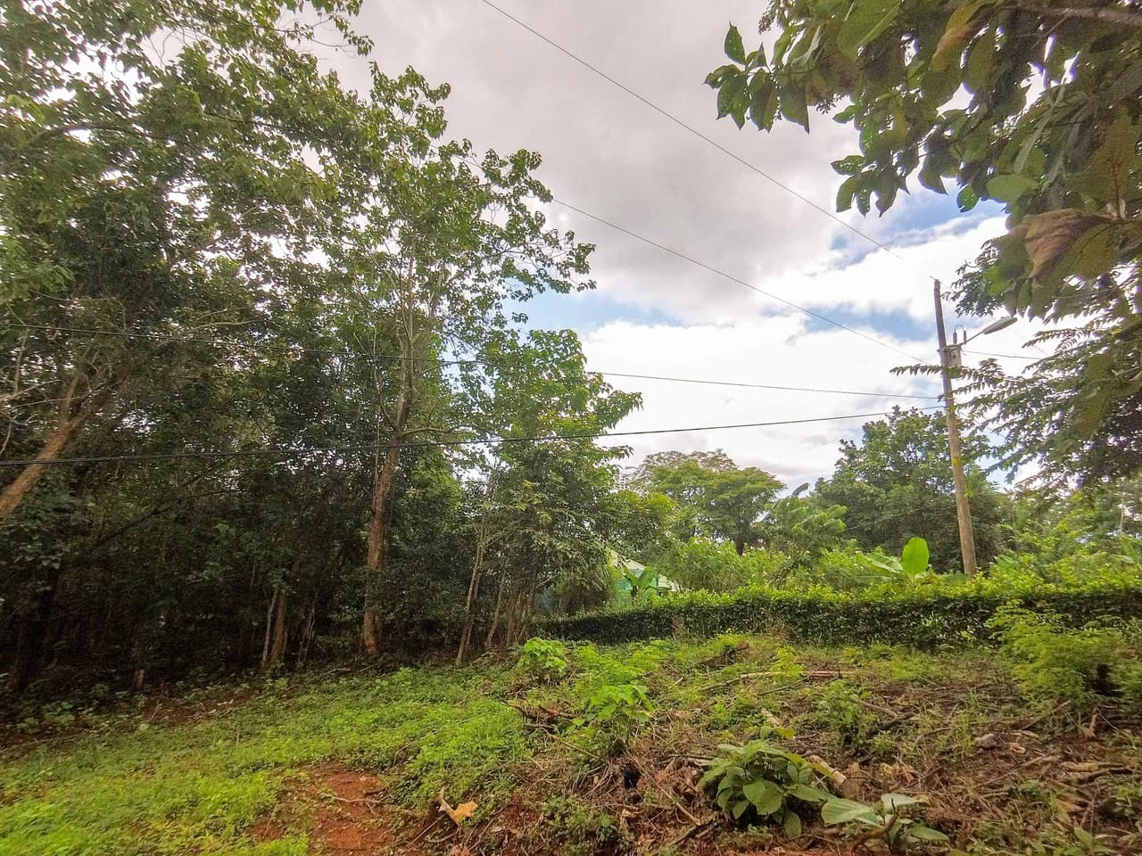 Lot Limon Dulce: Countryside Home Construction Site For Sale in Playa Samara - photo 6