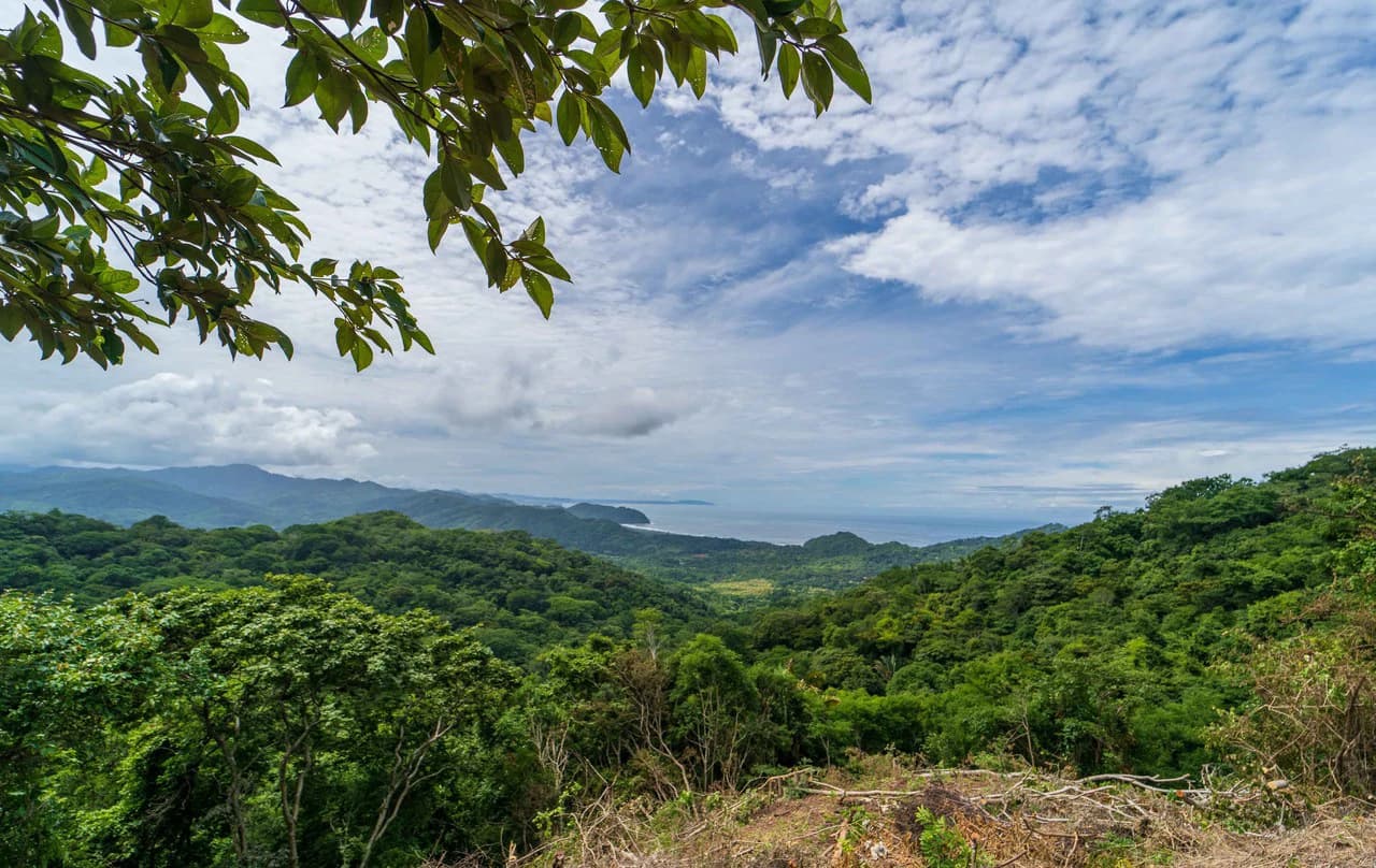Lote Peninsula Ocean View Lot with Building Permits and Plans - photo 8