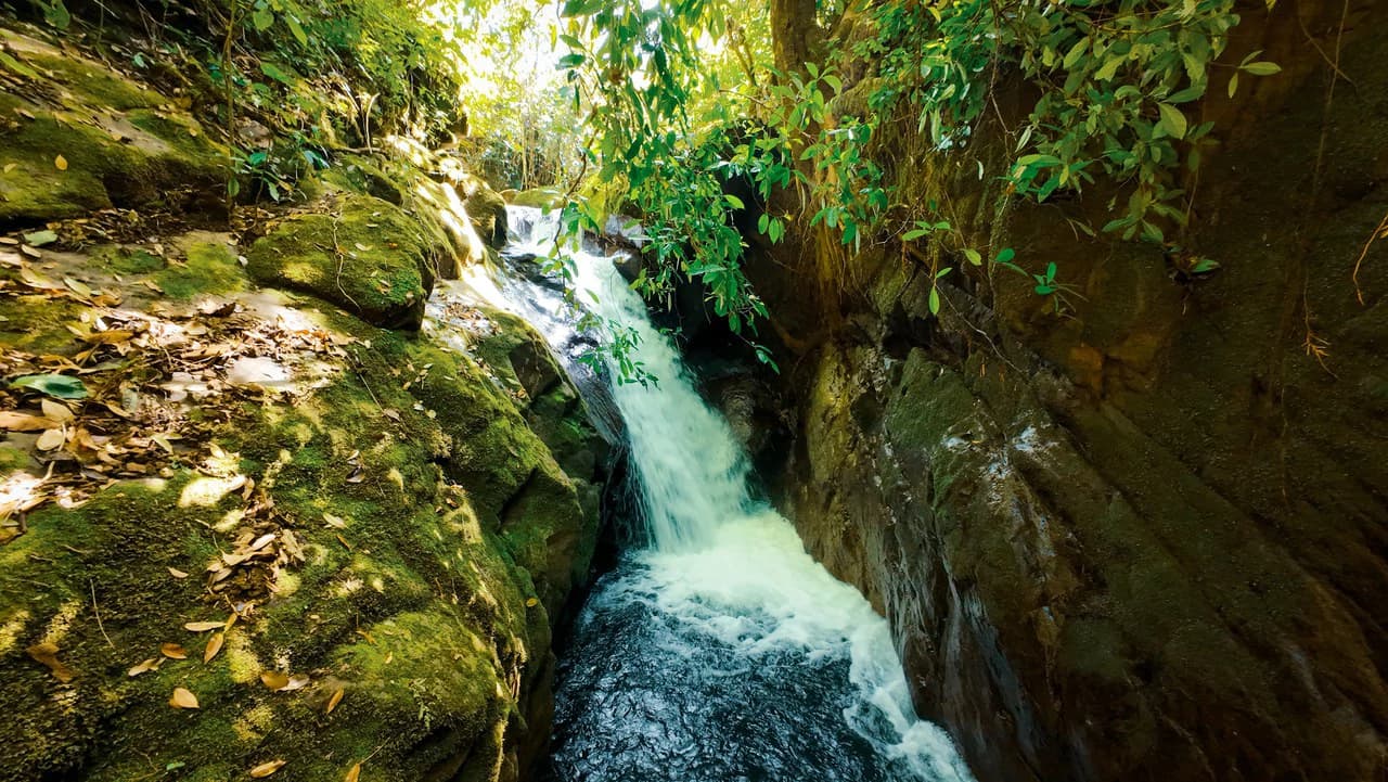 Riverfront Mushroom Farm & Private Waterfall Residence in Orosi - photo 47