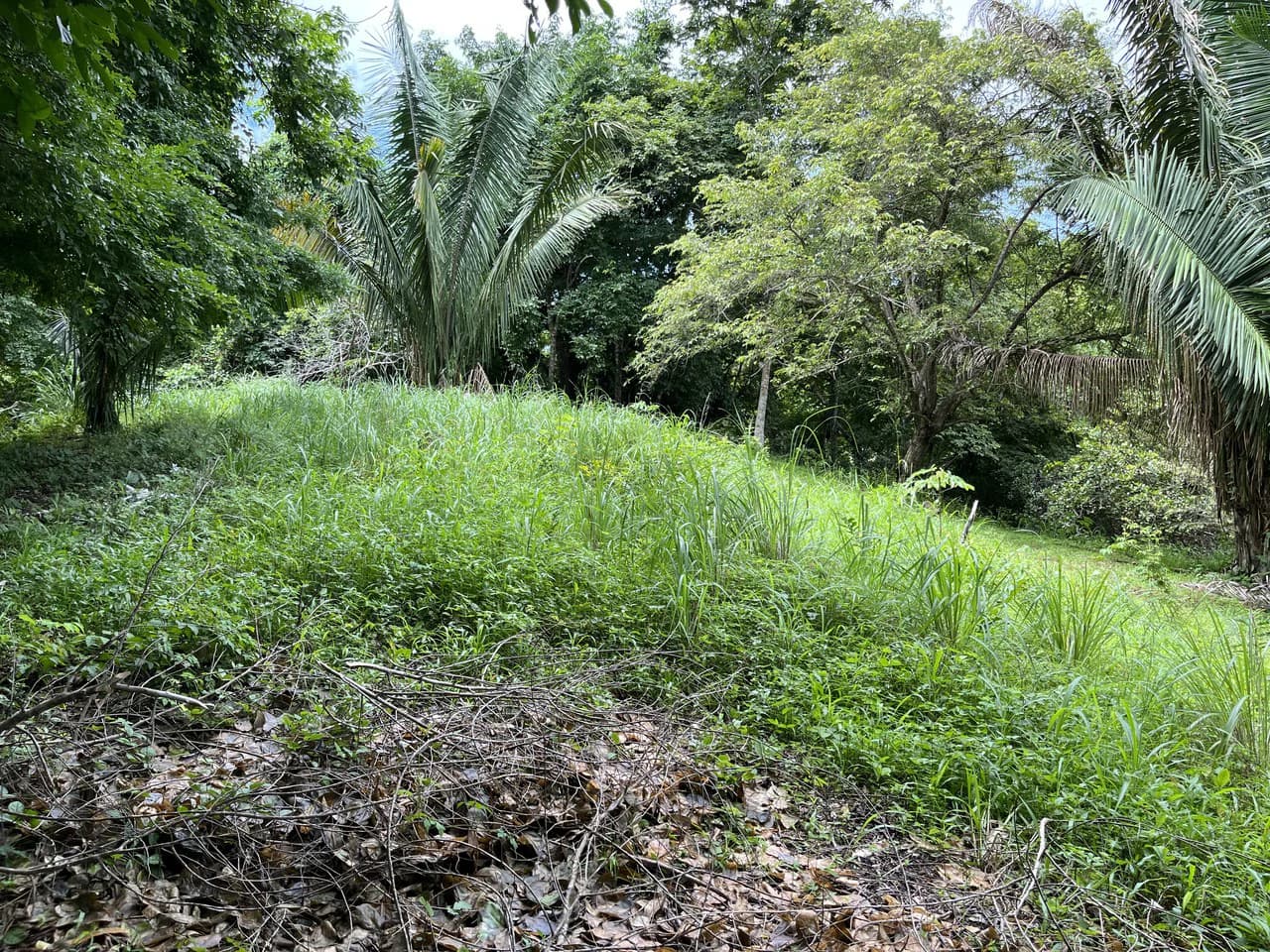 6 Acres Ready for Development in Samara - photo 3