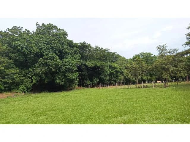 Charming Tico Home with Beautiful Green Garden for Sale in Bagaces - photo 13