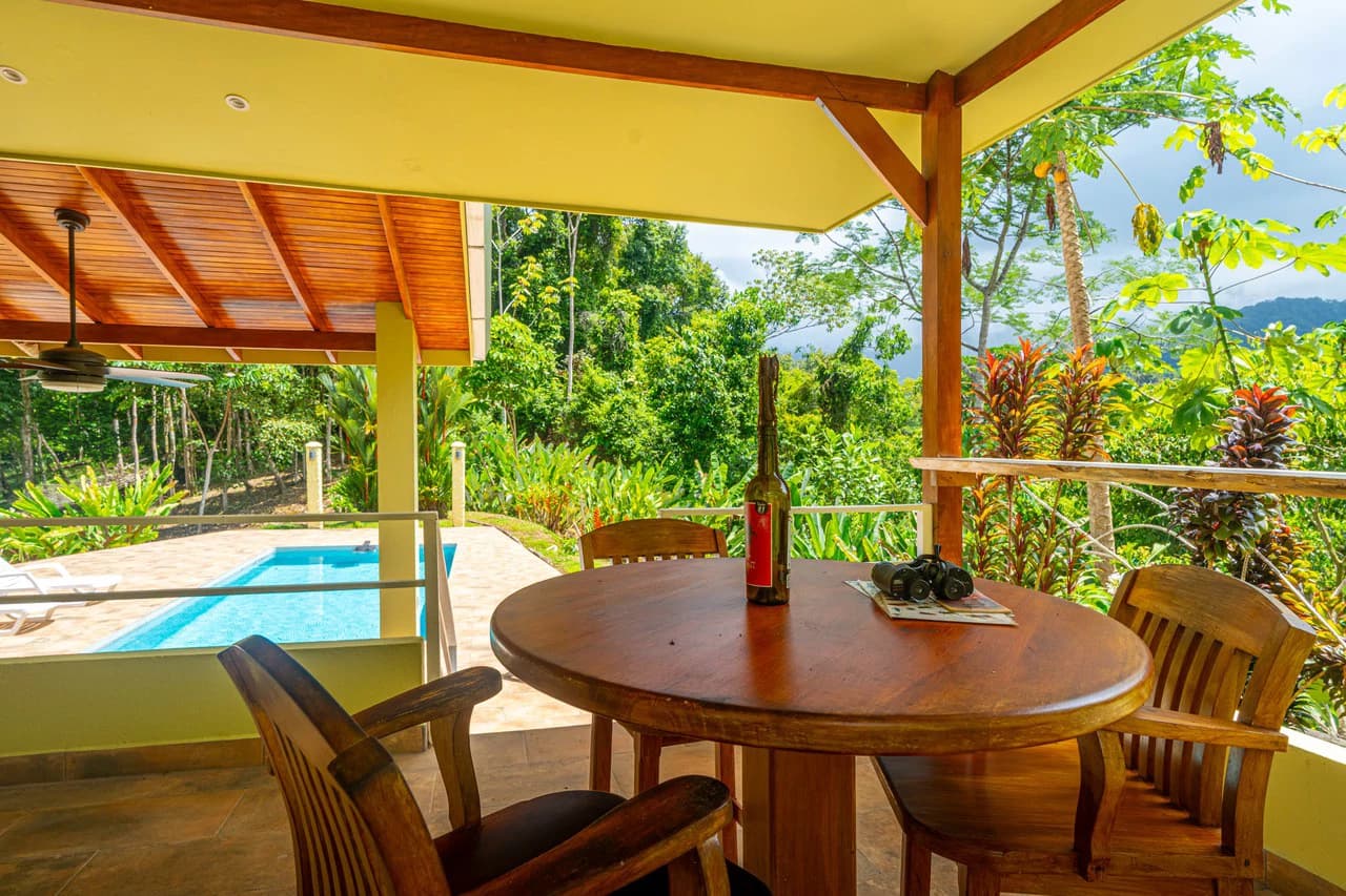 Amazing Mountain View and Ocean View House and Guest House on 4.5 Acres of land in Ojochal - photo 33