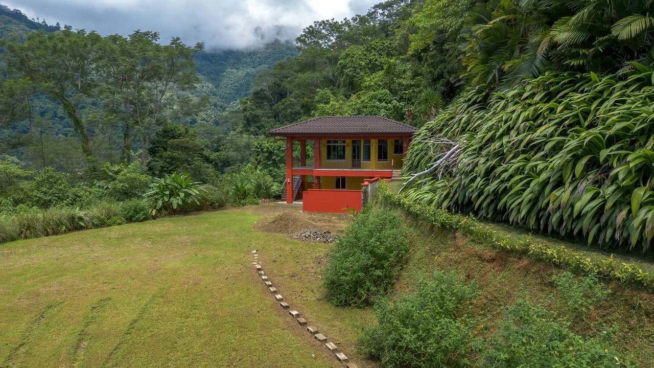Build-Ready Ocean View Land with Guest House & Fruit Orchard | Tres Rios, Costa Rica - photo 16