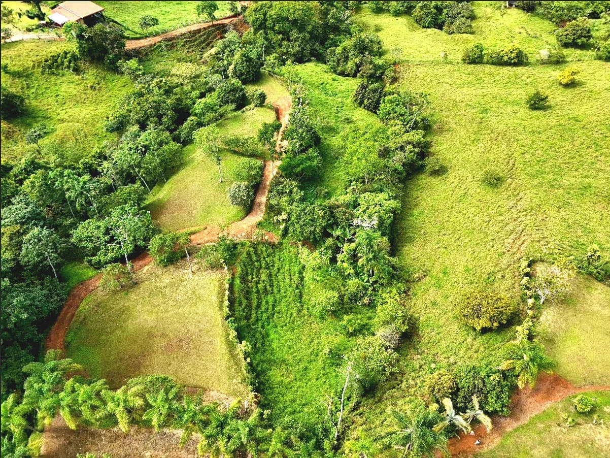 Mountain Home Construction Site For Sale in Miravalles - photo 1