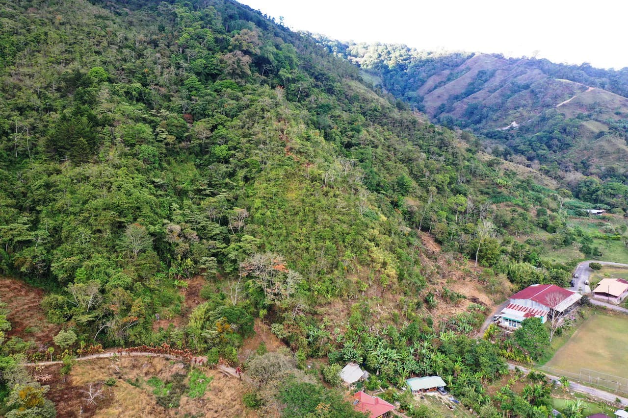Canaan de Rivas 10 acres Above San Isidro - photo 15