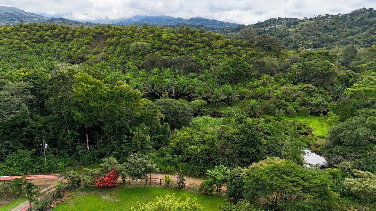 Charming Hardwood Cabin with Fruit Garden Near San Isidro - photo 17