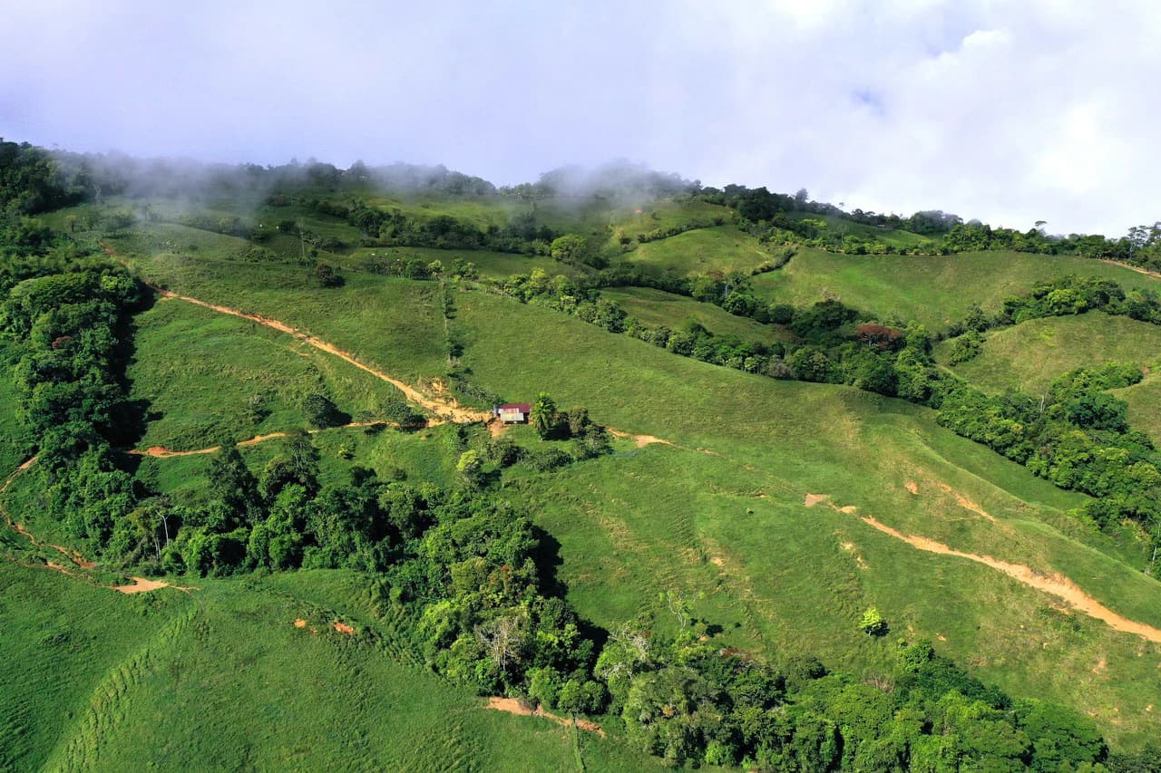 150 Acre Cattle Ranch with Panoramic Views Above the mountains of Uvita - photo 3