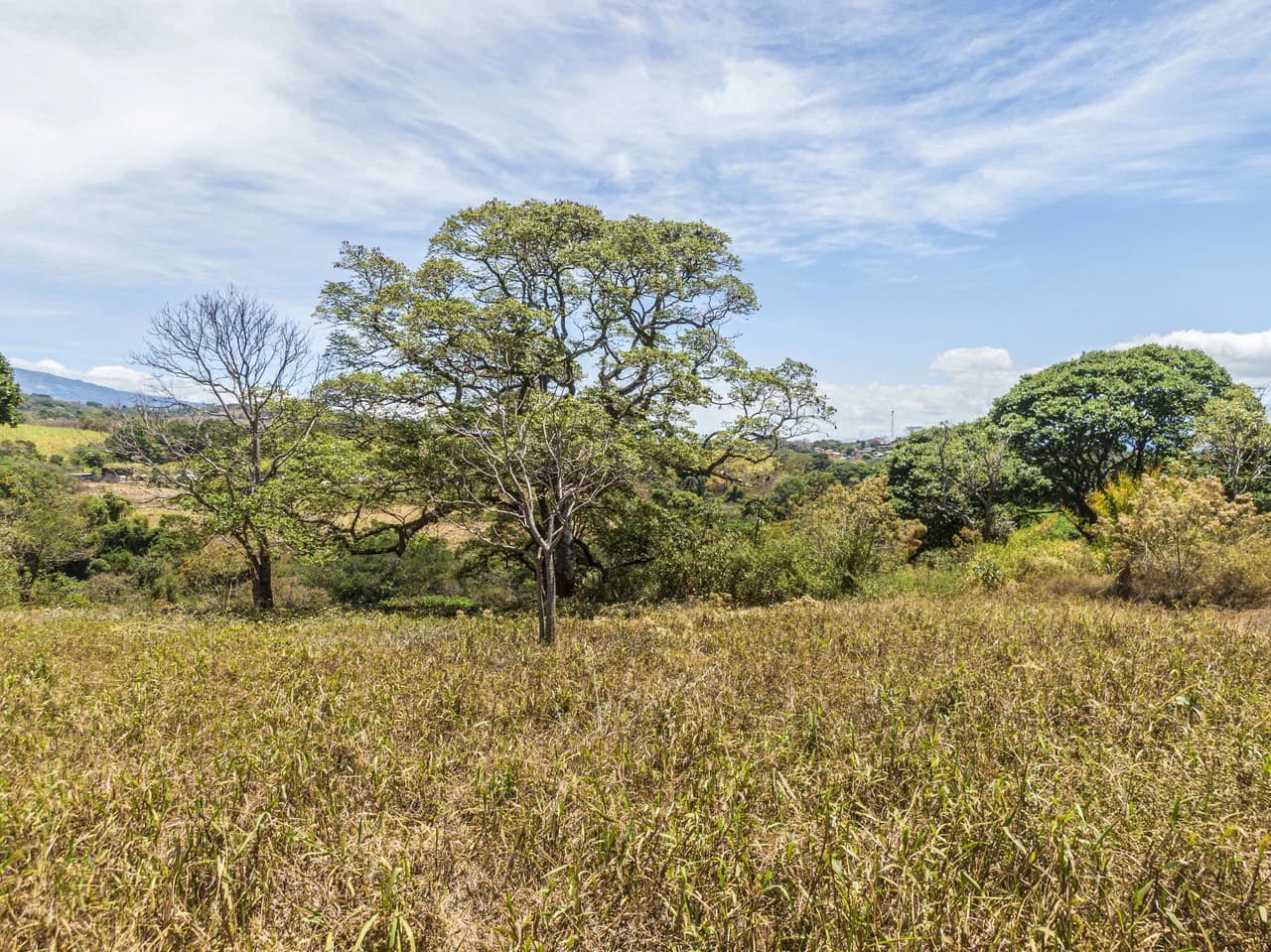 Land for development 10 hectares - photo 3