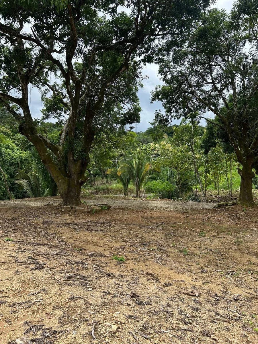 River Frontage Lot For Sale in Costa Rica Residential & Commercial Zoning - photo 14