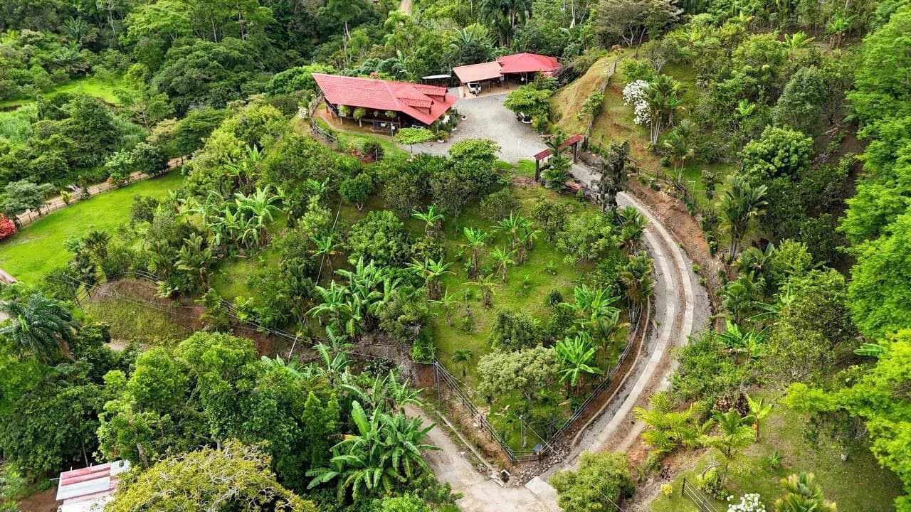 Charming Hardwood Cabin with Fruit Garden Near San Isidro - photo 16