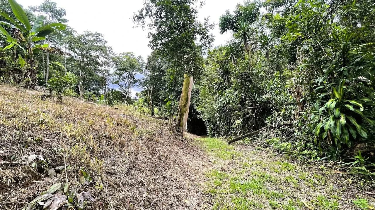 LAND FOR SALE IN SAN MIGUEL, NARANJO - photo 15