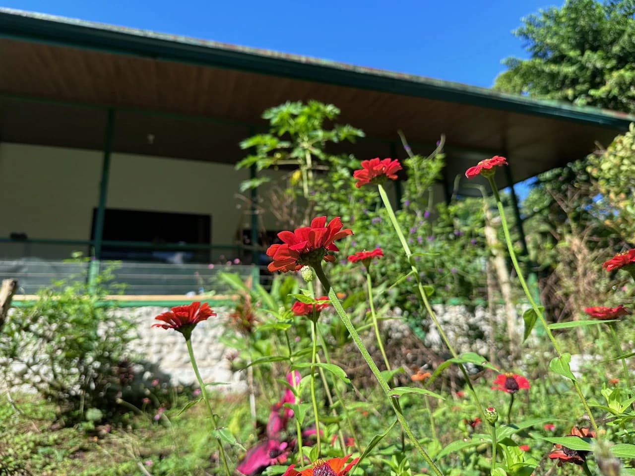 Sustainable Living Farm to Table with Home, Guest House ,Tinamastes on the River