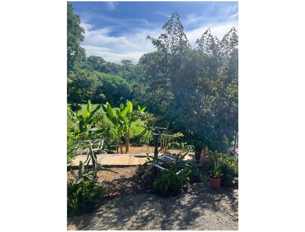 Property for Sale in Cuarros de Lagunillas, Garabito | 2,044 m² with 2 Bedrooms - photo 4