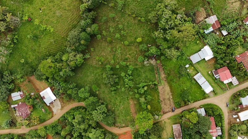 Lote en San Francisco de Cajon: Mountain Agricultural Land For Sale in San Francisco - photo 3