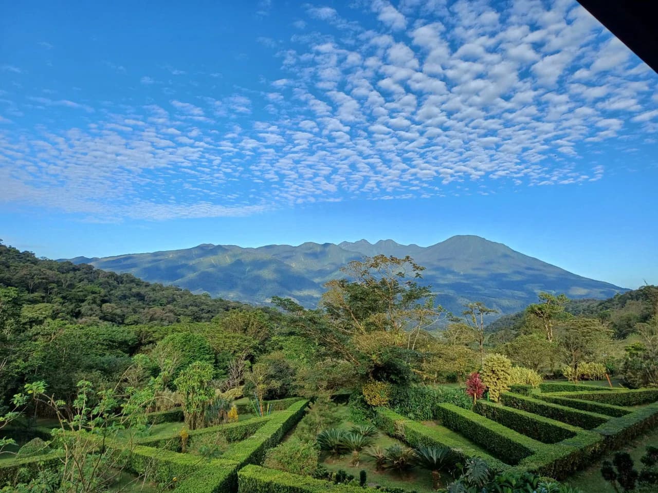 Celeste Mountain Lodge: Mountain Hotel/Resort/Hostel For Sale in Bijagua