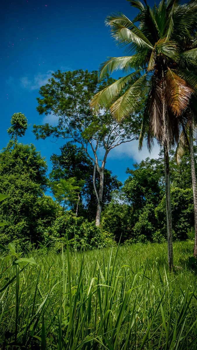 Rincon Mountain Land Gulf View | A Breathtaking Landscapes of Rincon - photo 23