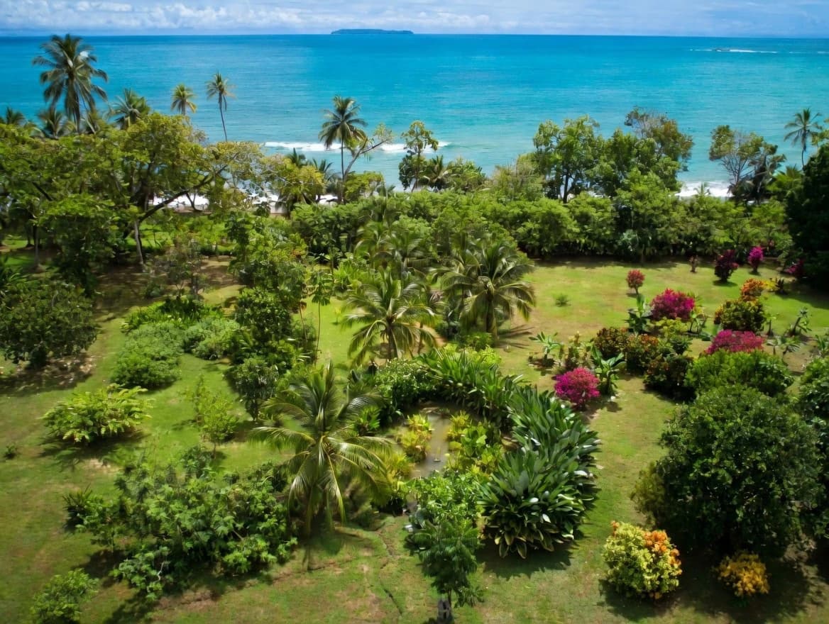 Casa Bromelia: Drake Bay Beachfront Paradise Property Near Corcovado - photo 3