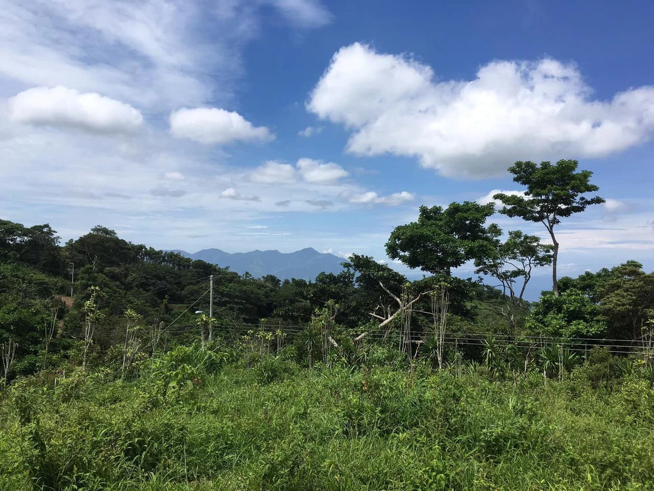 Eco-Lot #8: Ready-to-Build Sustainable Haven with Gulf & Mountain Views - photo 4