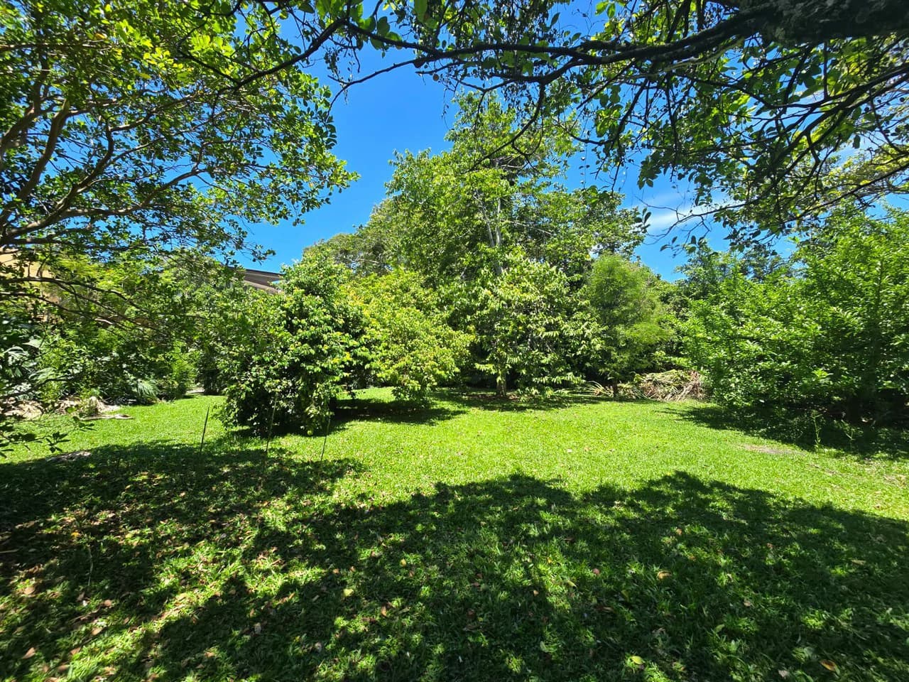 Land for Sale in Condominium in Ciudad Colón Costa Rica - photo 8