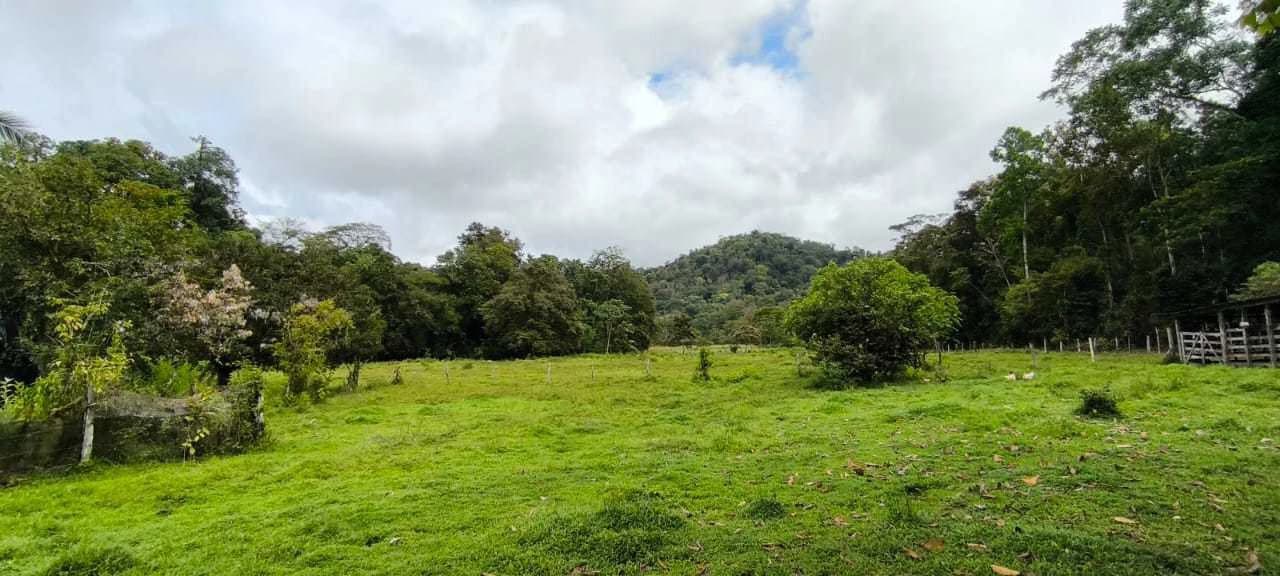23 Acres of Paradise at Bahia Drake - photo 30
